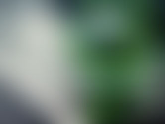 Es grünt so grün. Die Versicherungs-branche als Treiber von Nachhaltigkeit.