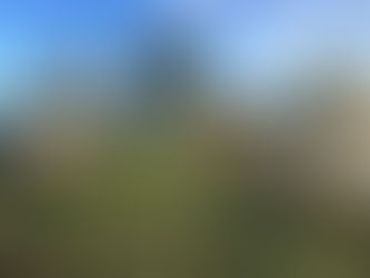Wildcampen in Österreich und alles was du darüber wissen musst.
